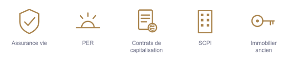 Icônes des solutions proposées : assurance vie, PER, contrats de capitalisation, SCPI, immobilier ancien